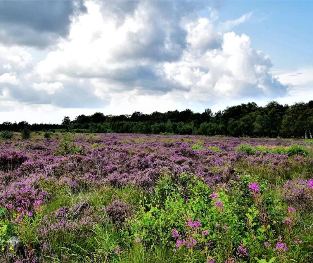 B&B De Panheide Hooghalen 외부 사진