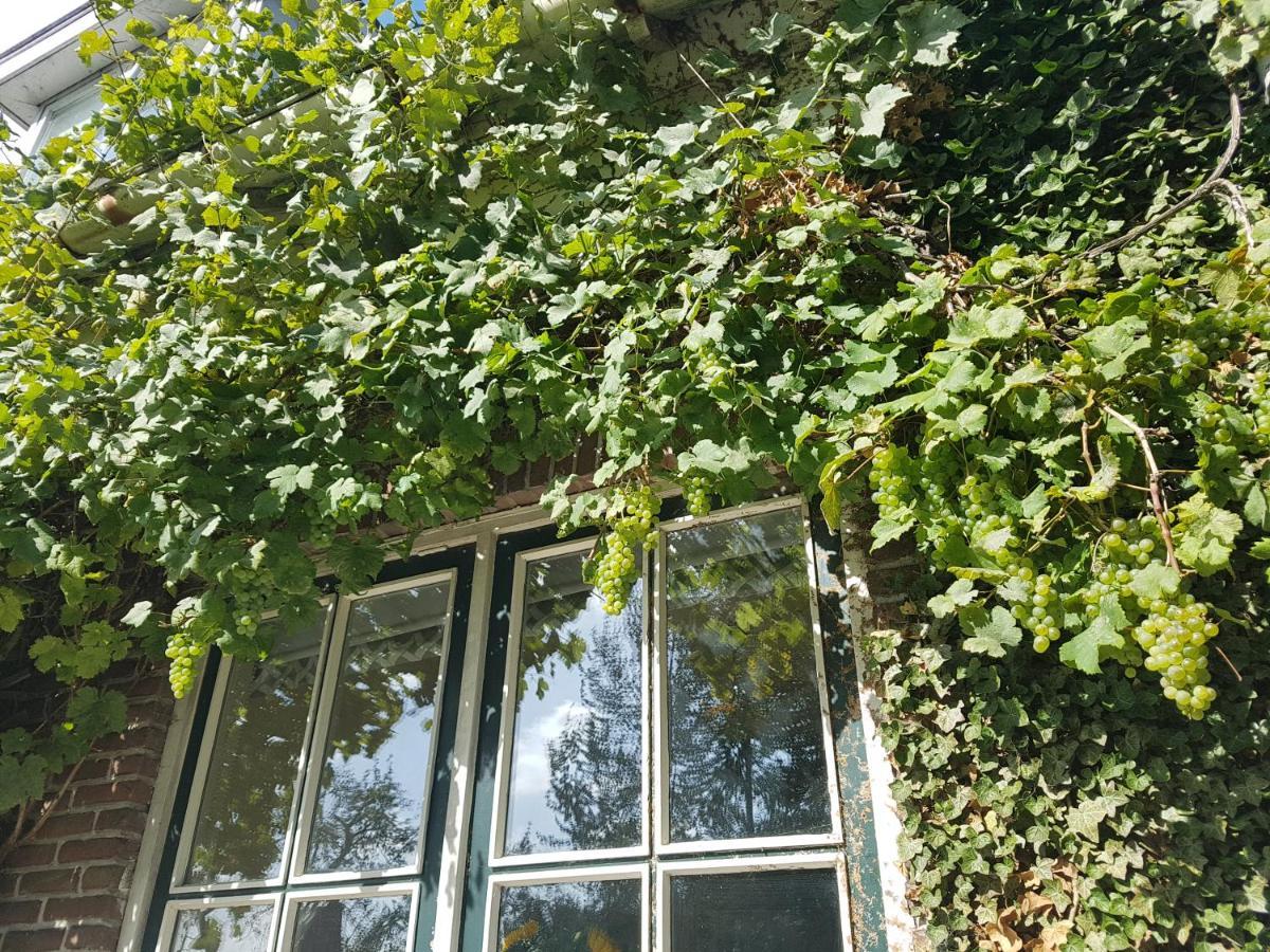B&B De Panheide Hooghalen 외부 사진