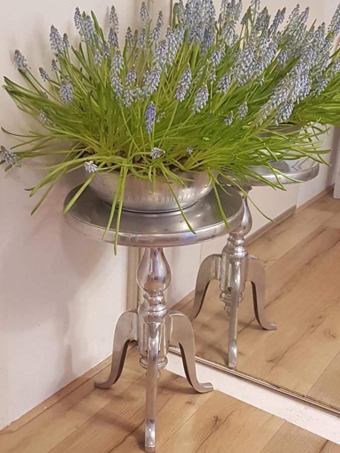 B&B De Panheide Hooghalen 외부 사진