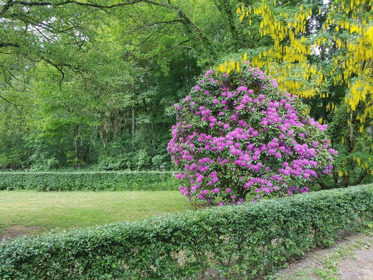 B&B De Panheide Hooghalen 외부 사진